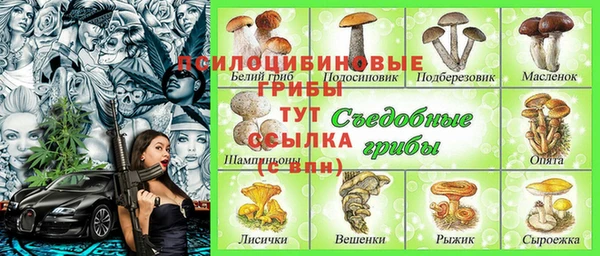 мяу мяу мука Бугульма