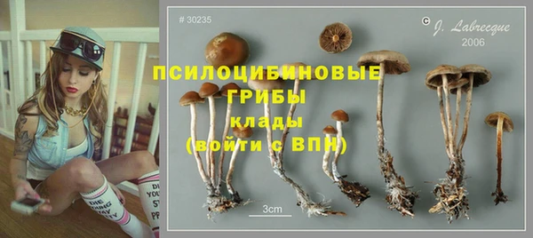 скорость Бронницы