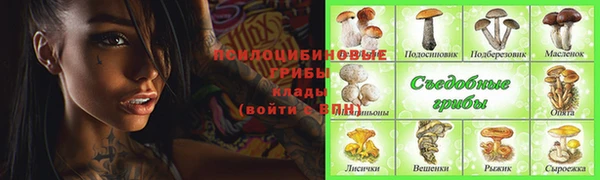 мяу мяу мука Бугульма