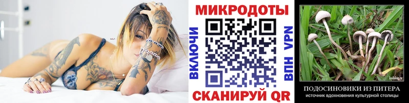 Псилоцибиновые грибы мухоморы даркнет Telegram Вяземский